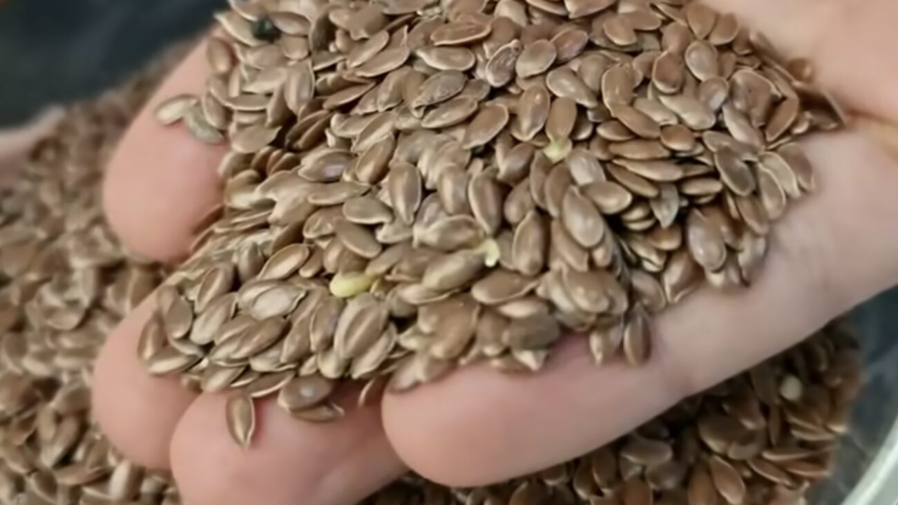 Фахівці розповіли, чому додавання в їжу насіння льону може бути небезпечним 