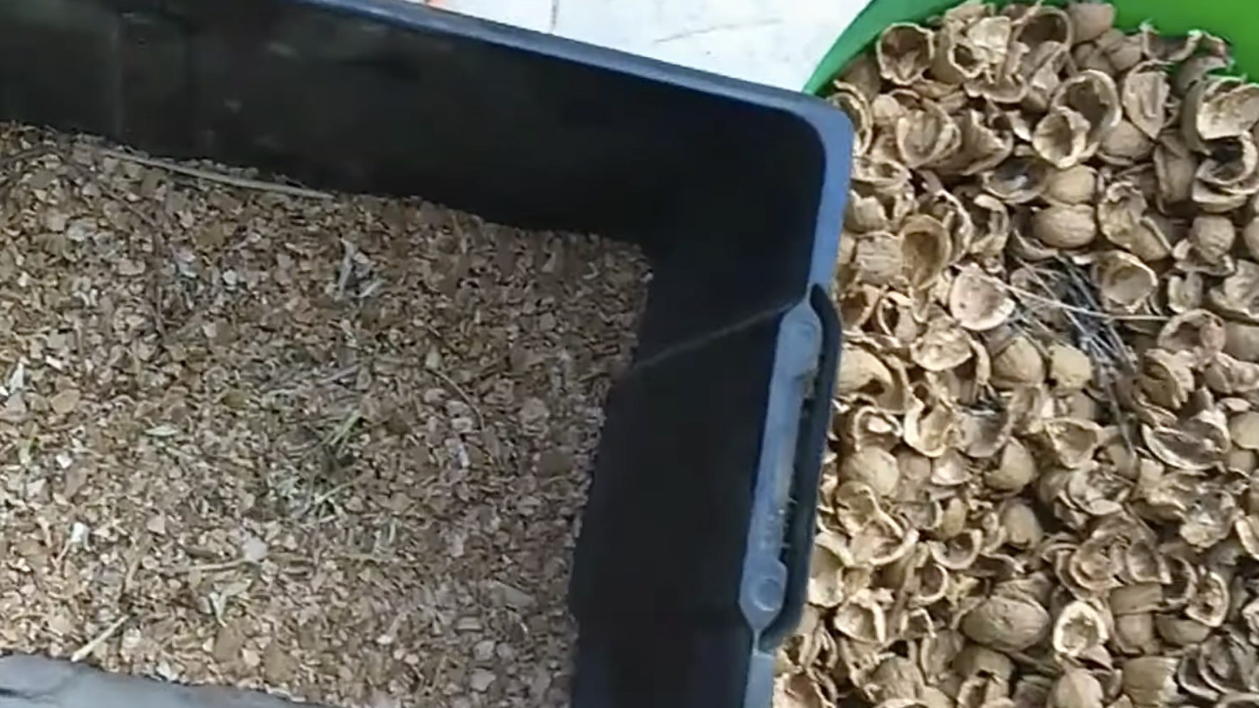 Городники розповіли, як використовувати горіхову шкаралупу на городі 