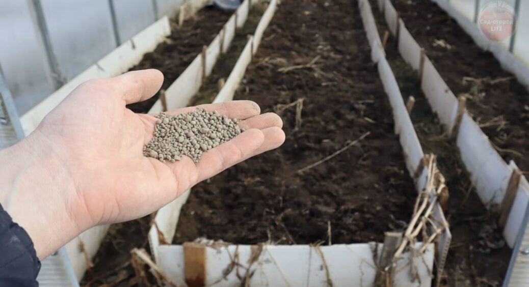 Розкидала 10 жменьок по теплиці та зарила граблями: роблю це до морозів і покращую родючість ґрунту у 4 рази 
