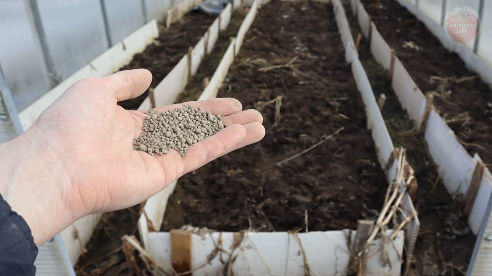 Городники розповіли, що внести у ґрунт у теплиці в листопаді 