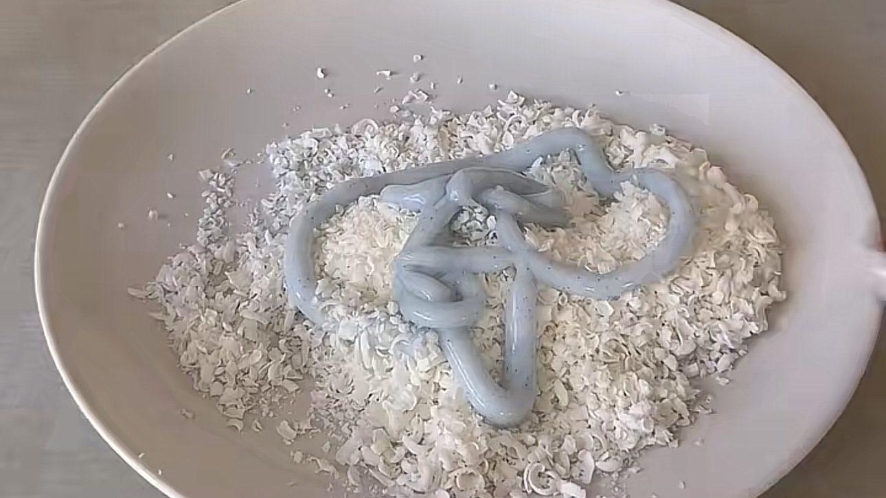 Господині розповіли, як зробити ароматизатор для туалету із мила Господині розповіли, як зробити ароматизатор для туалету із мила