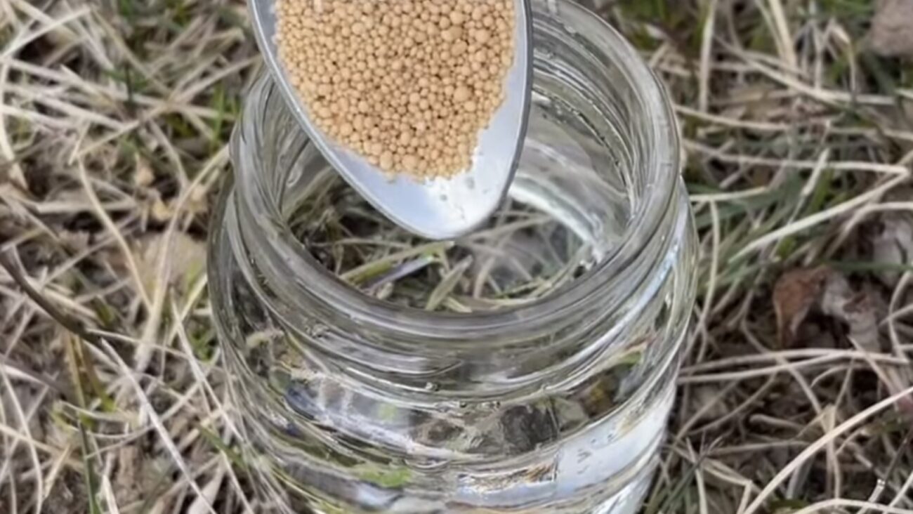 Городники розповіли рецепт поживного розчину, щоб полити город перед морозами 