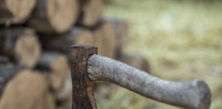 Господарі назвали метод для відновлення леза на сокирі 