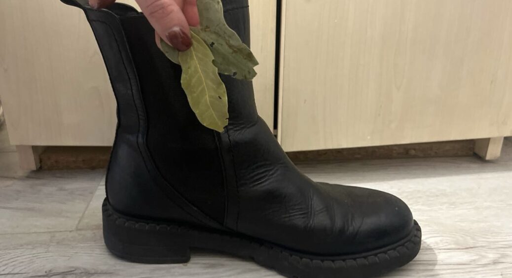 Кладу на ніч по 2 лаврових листи у взуття – і зник запах, від якого не допомагав навіть дезодорант: 10 з 10 