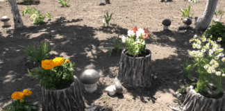 Експерти розповіли, як самостійно зробити декоративні кашпо