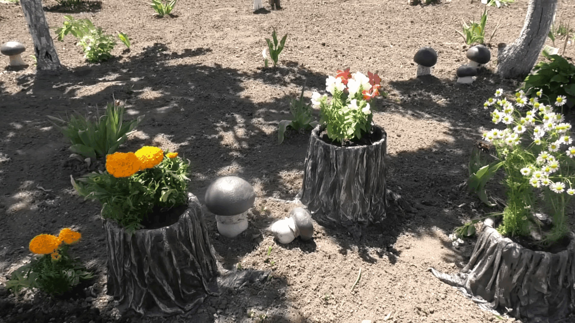 Експерти розповіли, як самостійно зробити декоративні кашпо