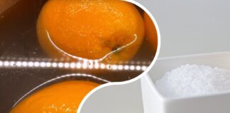 Господині розповіли, як правильно мити фрукти та овочі