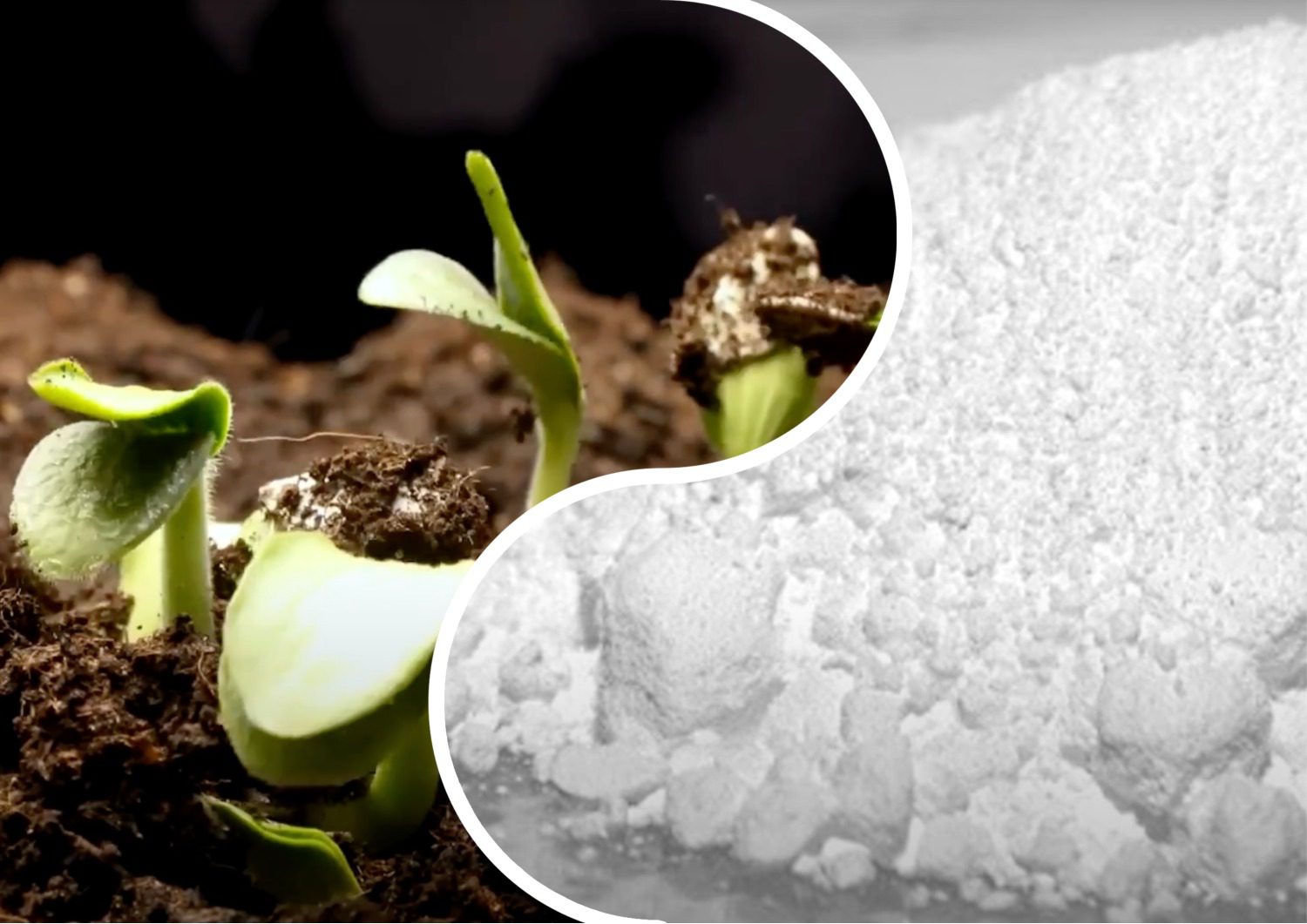 Городники розповіли коли і навіщо робити вапнування ґрунту