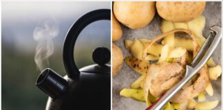 Господині розповіли, як очистити чайник без лимонної кислоти