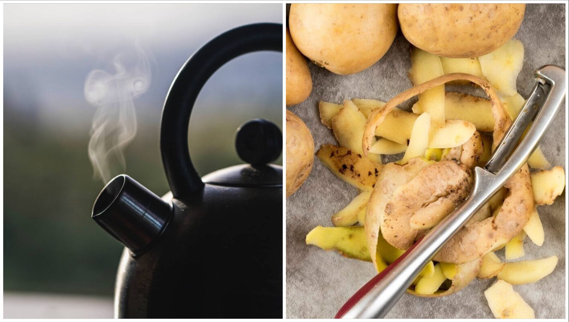 Господині розповіли, як очистити чайник без лимонної кислоти