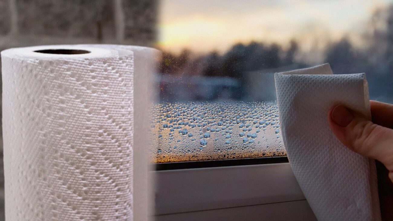 Господині пояснили, як надовго прибрати конденсат з вікон туалетним папером