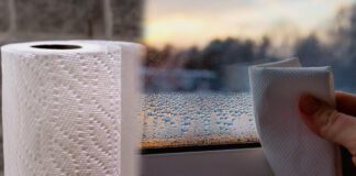 Господині пояснили, як надовго прибрати конденсат з вікон туалетним папером