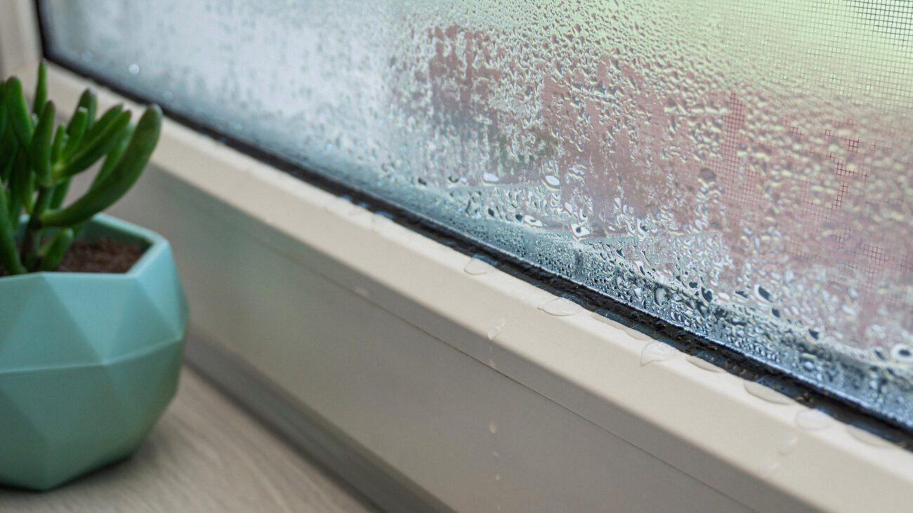 Господині розповіли, як позбутися конденсату на вікнах 