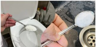 Господині розповіли, як швидко прочистити раковину і унітаз 