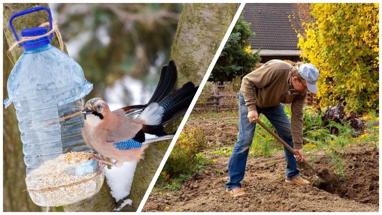 Дачники розповіли, як годівнички для птахів допомагають на городі 