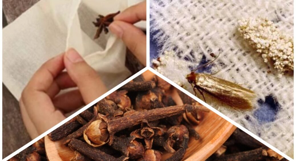 2 копійчані пряності у марлевий мішечок, і міль — “очманіє”: кладу його у шафу та забуваю про шкідника 