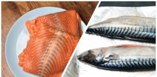 Нутриціологи розповіли, яка риба більш корисна, скумбрія чи лосось 