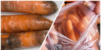 Господині розповіли, як зберігати моркву, щоб вона не пліснявіла 