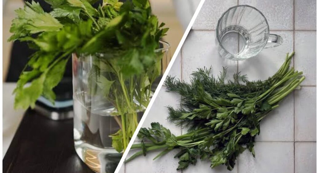 Не банка з водою, а “золота жила”: 1 порада, щоб зелень не псувалась на зберіганні і залишалась свіжа 
