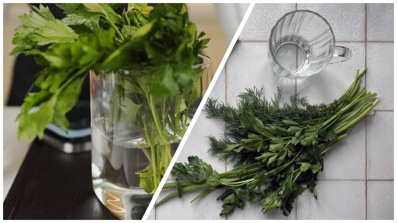 Господині розповіли, як зберегти зелень свіжою протягом кількох тижнів 