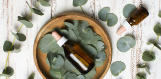 Господині розповіли, як використати евкаліптову олію для свіжості в оселі