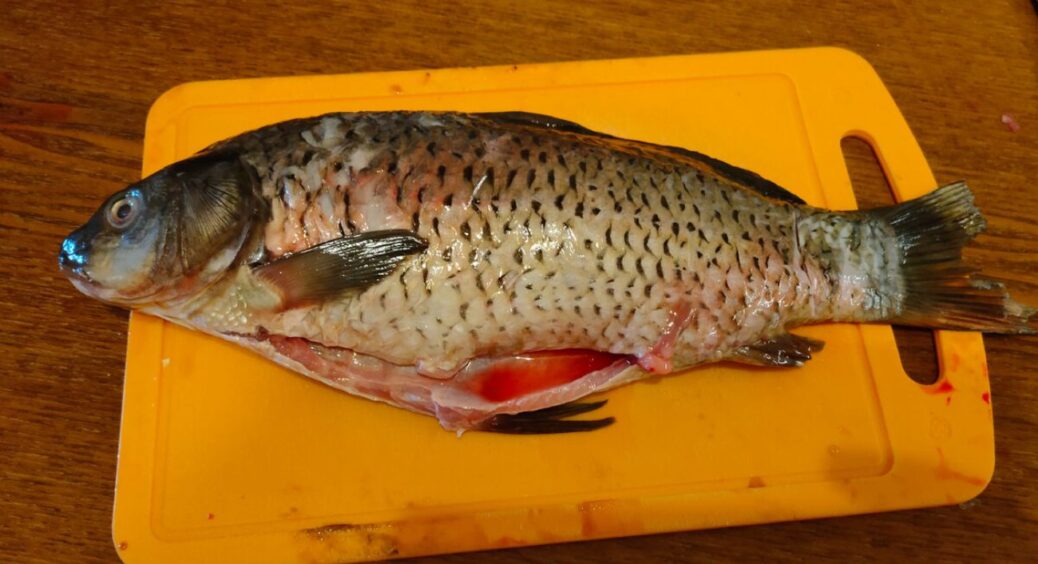 Чоловік – любить рибалку, я – не люблю чистити рибу: 1 трюк, як за 5 хв прибрати всю луску без бруду в кухні 