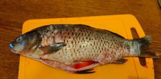 Як швидко очистити рибу від луски