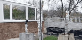 Садівники розповіли, які дерева укривати на зиму, а які ні