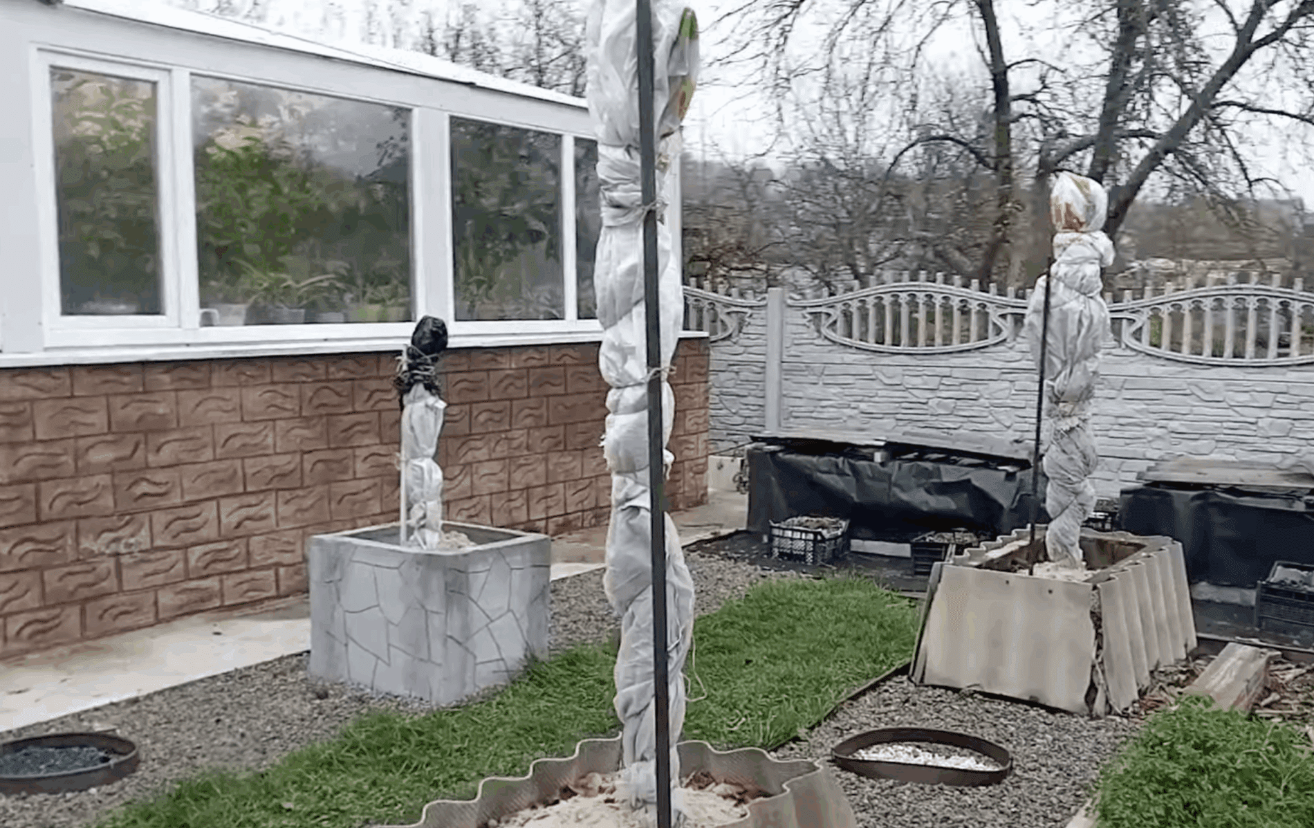 Садівники розповіли, які дерева укривати на зиму, а які ні