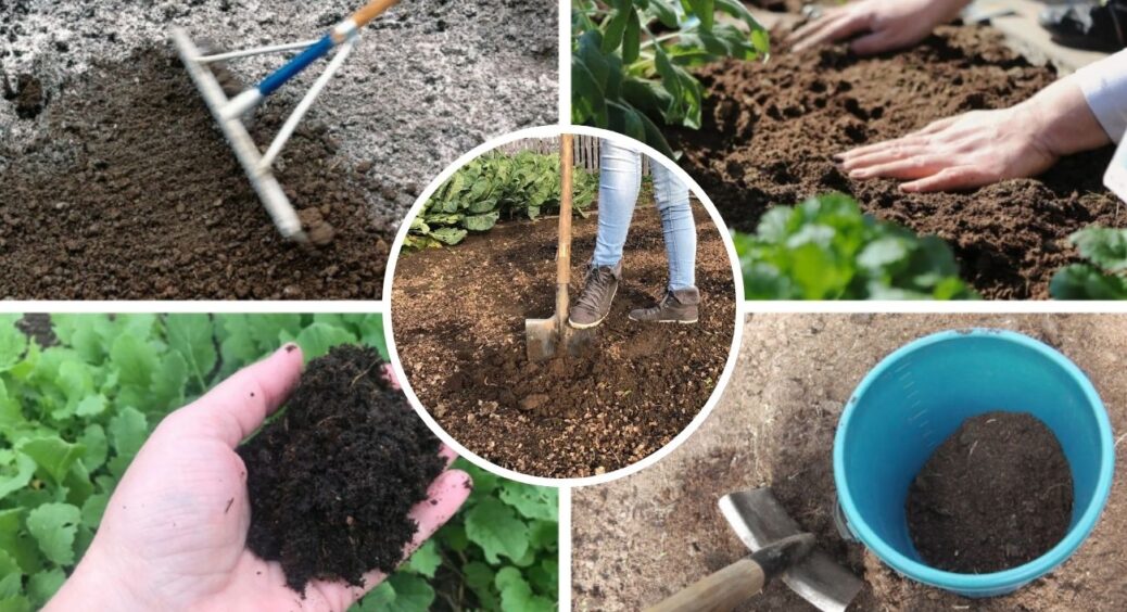 1 жменя по снігу – і весною ґрунт буде пухким, як після перекопування: 1 заміна для перегною від агрономів 