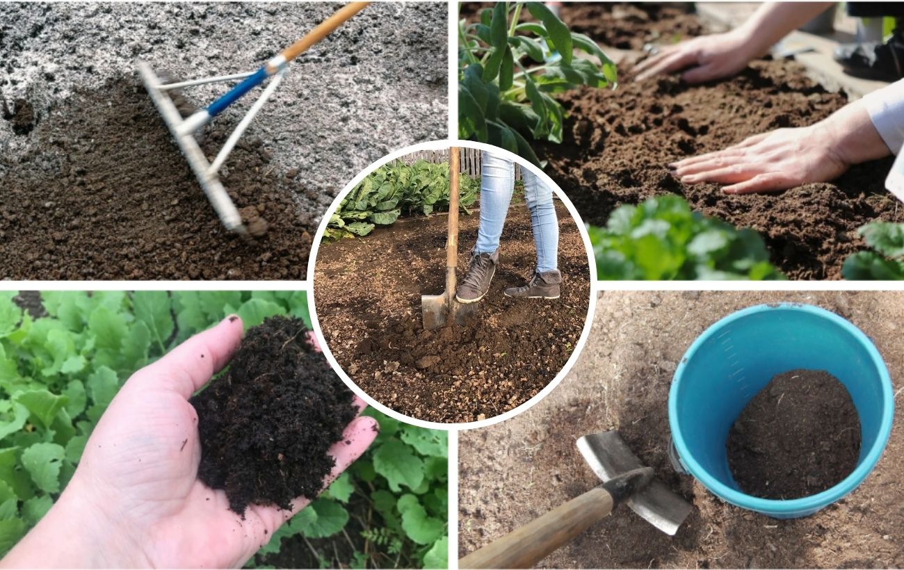 Як покращити структуру ґрунту на ділянці взимку