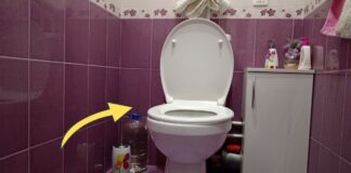 Господині розповіли, як легко очистити сидіння унітазу	