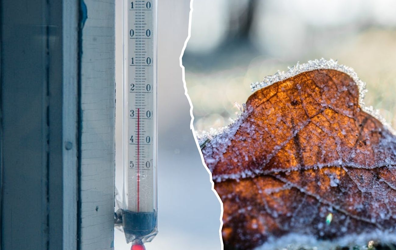 Де в Україні будуть морози та як захистити рослини