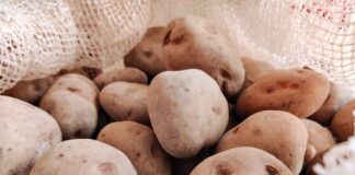 Городники назвали найкращий сорт картоплі для щедрого врожаю 