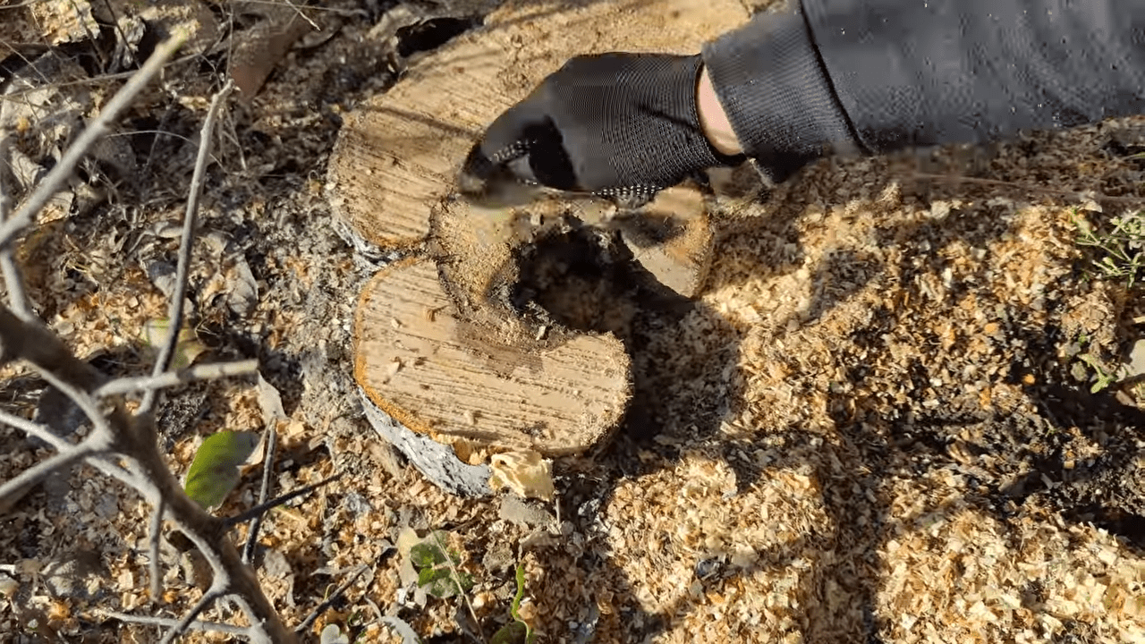 Садівники розповіли про критичні захворювання яблуні