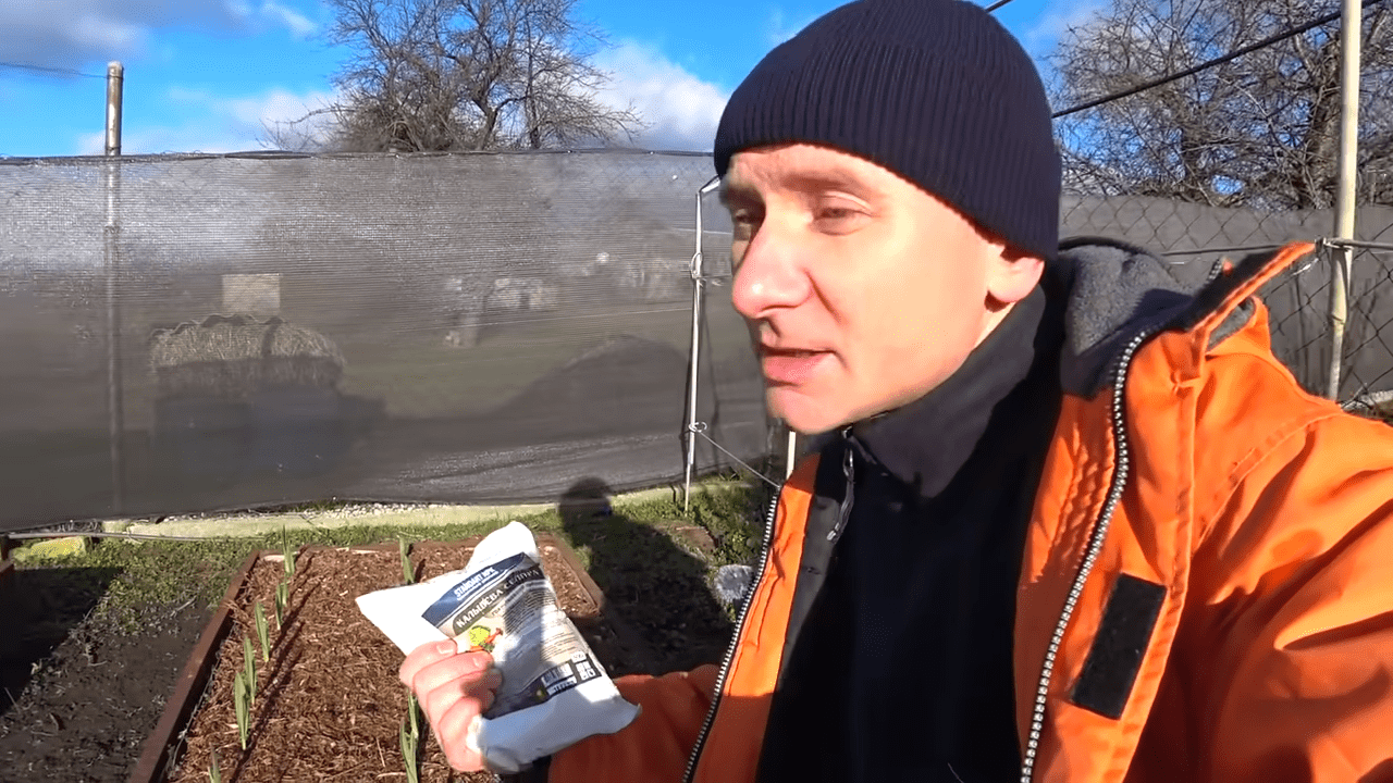 Городники порадили, які добрива варто розкидати по снігу