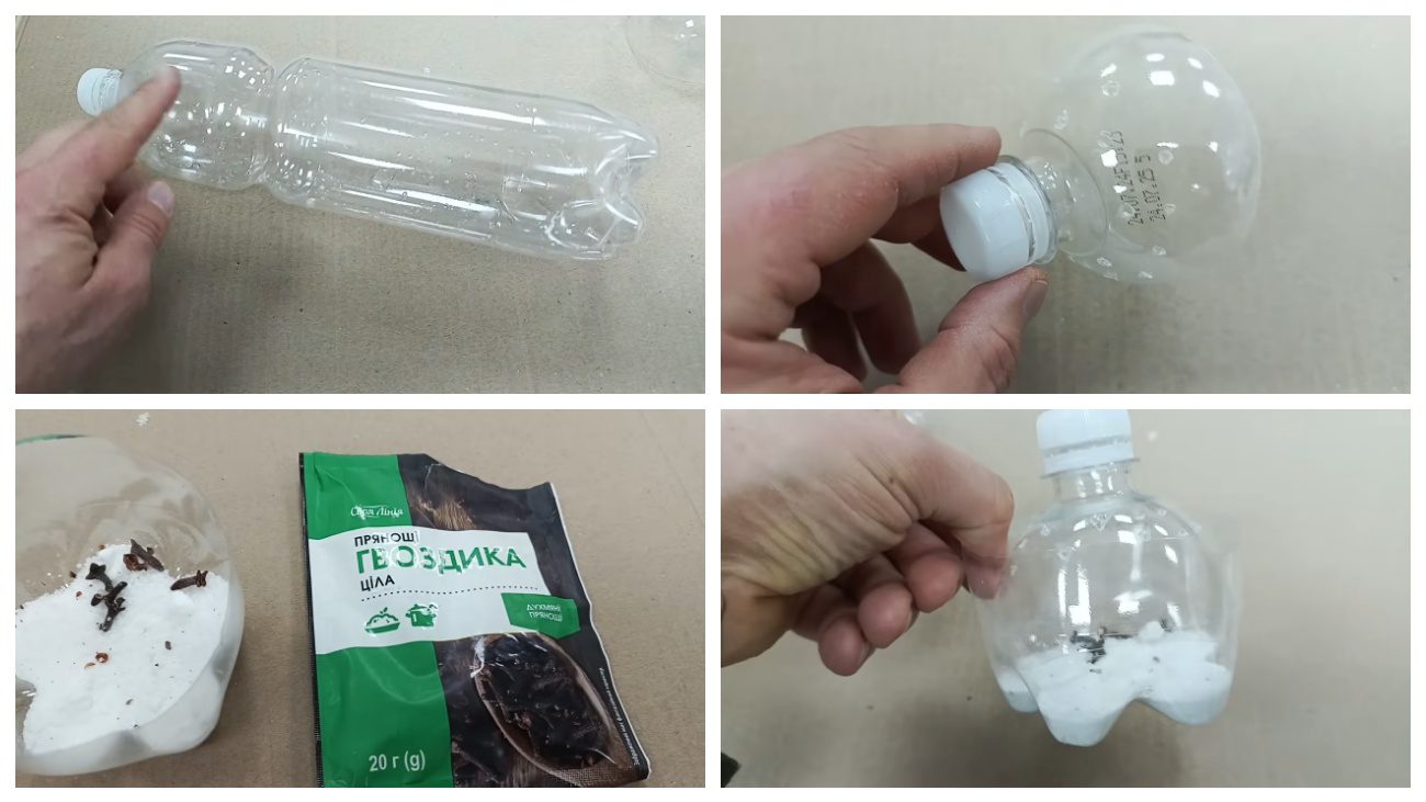 Експерти поділилися лайфхаком позбутися від харчової молі