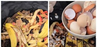 Городники розповіли, як з користю використовувати кухонні відходи