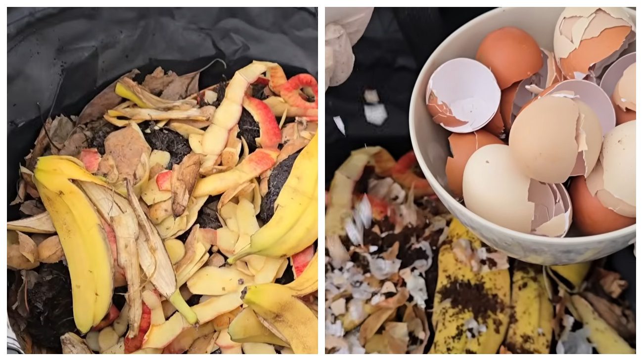 Садівники розповіли, з яких відходів зробити гумус