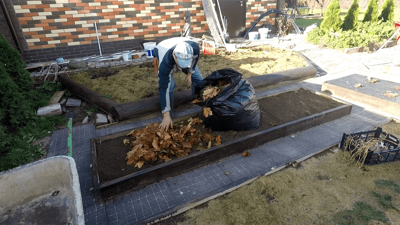 Городники дали поради що робити, якщо озимий часник рушив у грудні