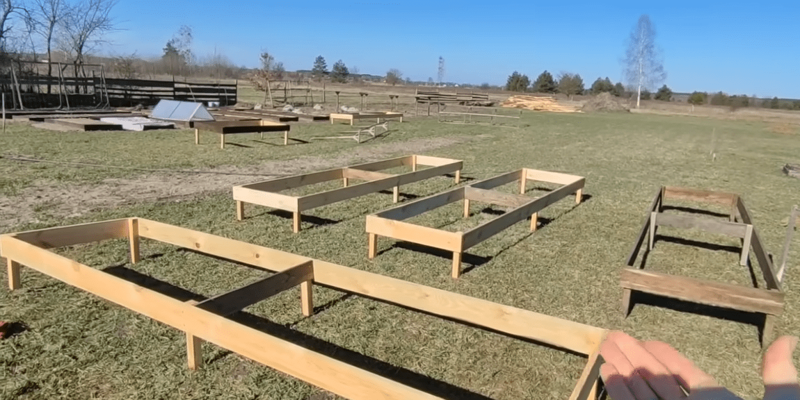 Городники розповіли про ефективний метод вирощування городини