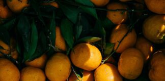 Як зберігати мандарини довго без псування