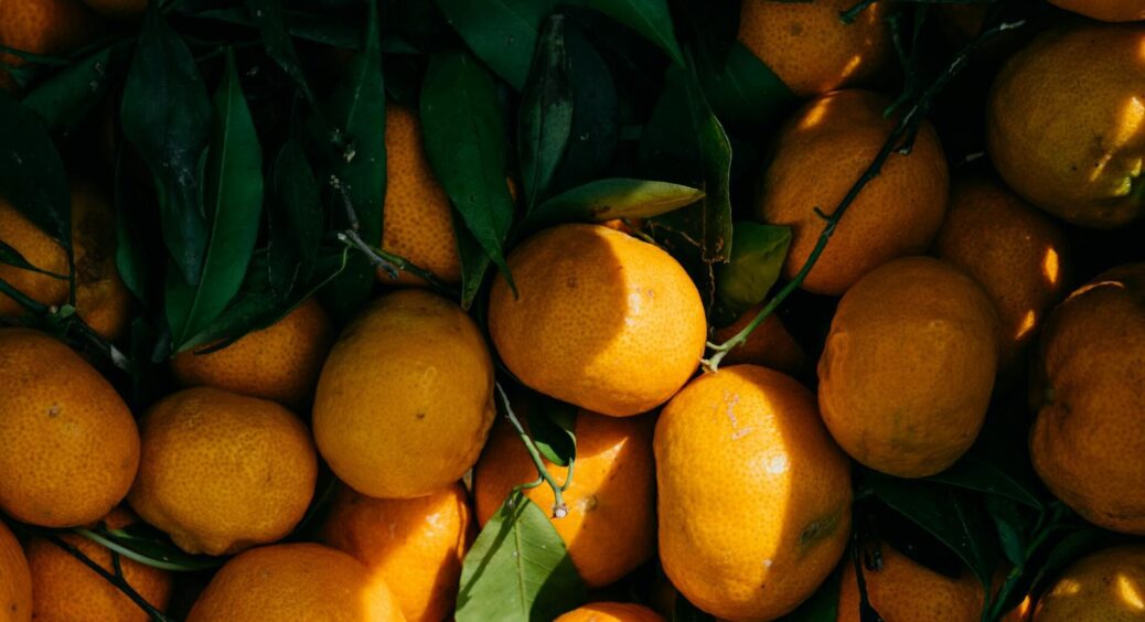 Мандарини більше не псуються до Нового року та Водохреща: 1 хитрість у зберіганні почула на базарі 