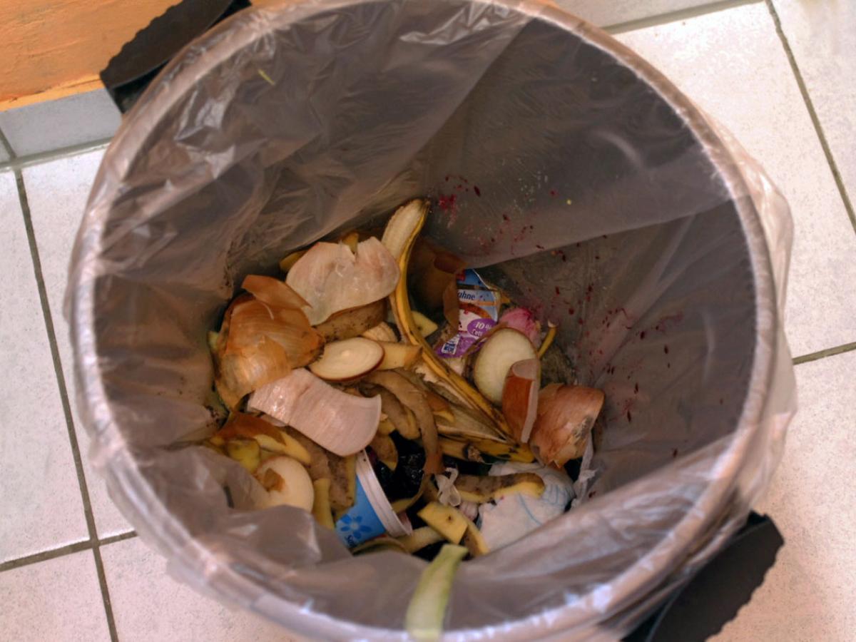 Експерти розповіли, який існує простий спосіб позбутись від неприємного аромату зі смітника