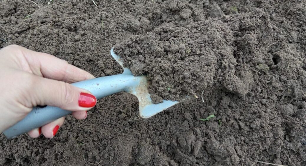 Наближаються 2 заборонених дні для удобрення ґрунту: буде бідний на врожай – тільки підживок шкода 