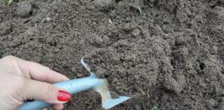 Городники розповідь про зимове добриво для ґрунту