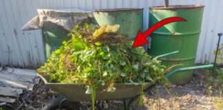 Як не дати компостній купі загнити взимку