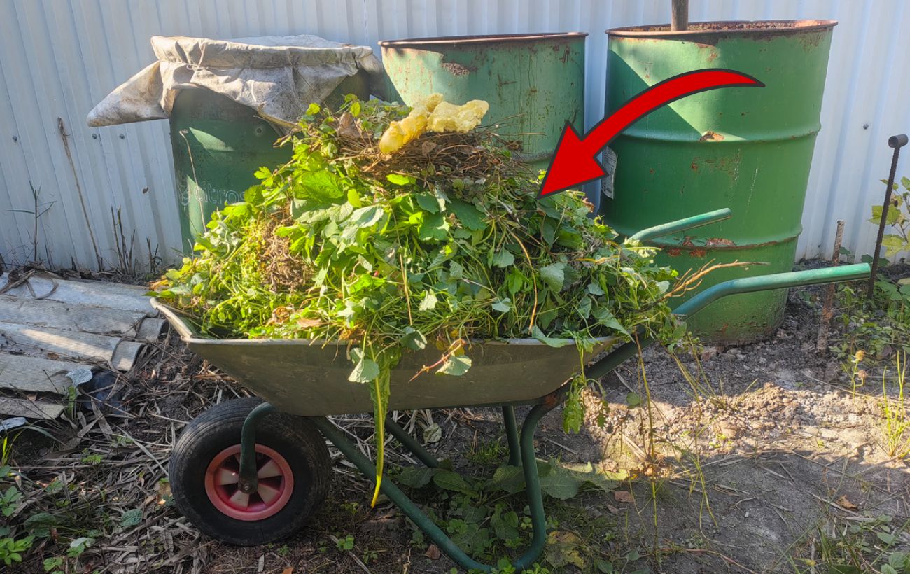 Як не дати компостній купі загнити взимку