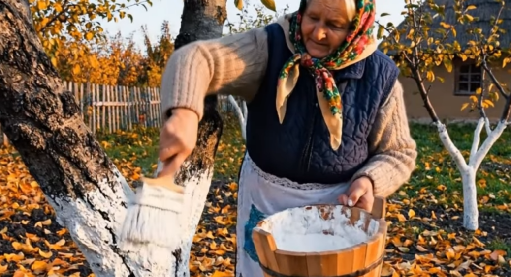Кум розказує, що його побілка — шедевр, а кума твердить, що шкодить саду: я зібрала факти — і ось що вийшло 