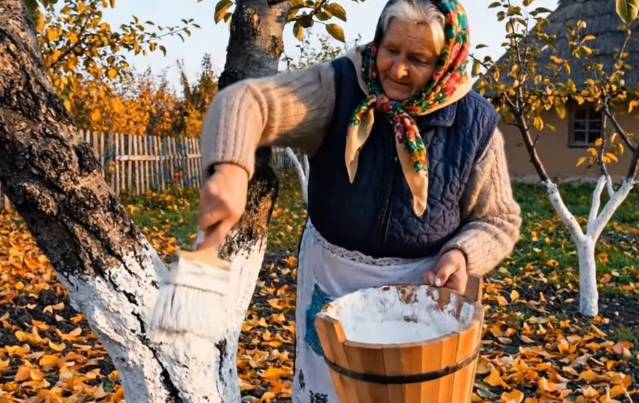 Садівники розповіли про альтернативу побілці стовбурів дерев